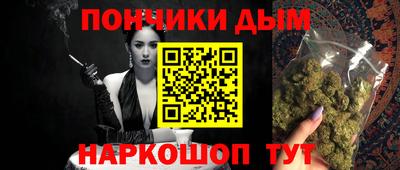 гидропоника Пенза