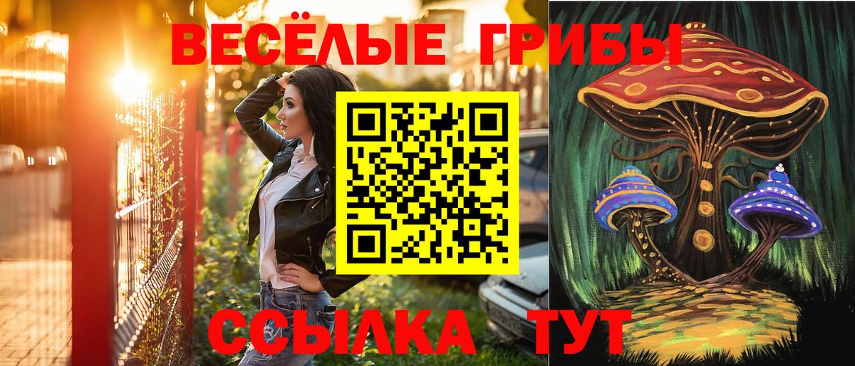 Псилоцибиновые грибы Psilocybe Ногинск